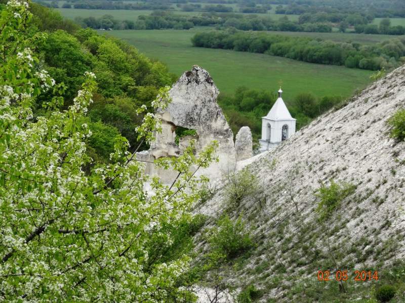 Тихая сосна впадает в дон фото