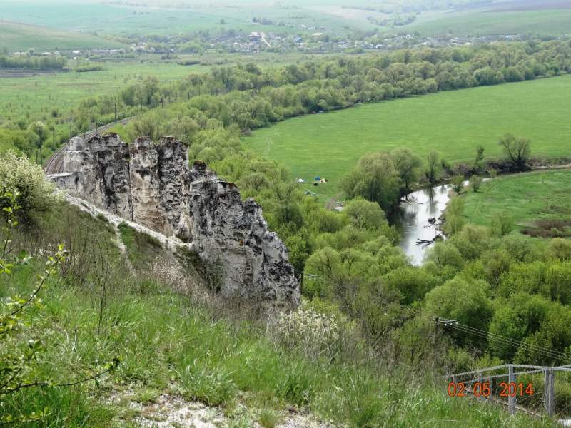 Тихая сосна впадает в дон фото